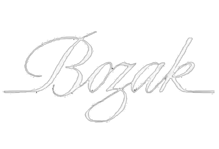 Bozak Repairs